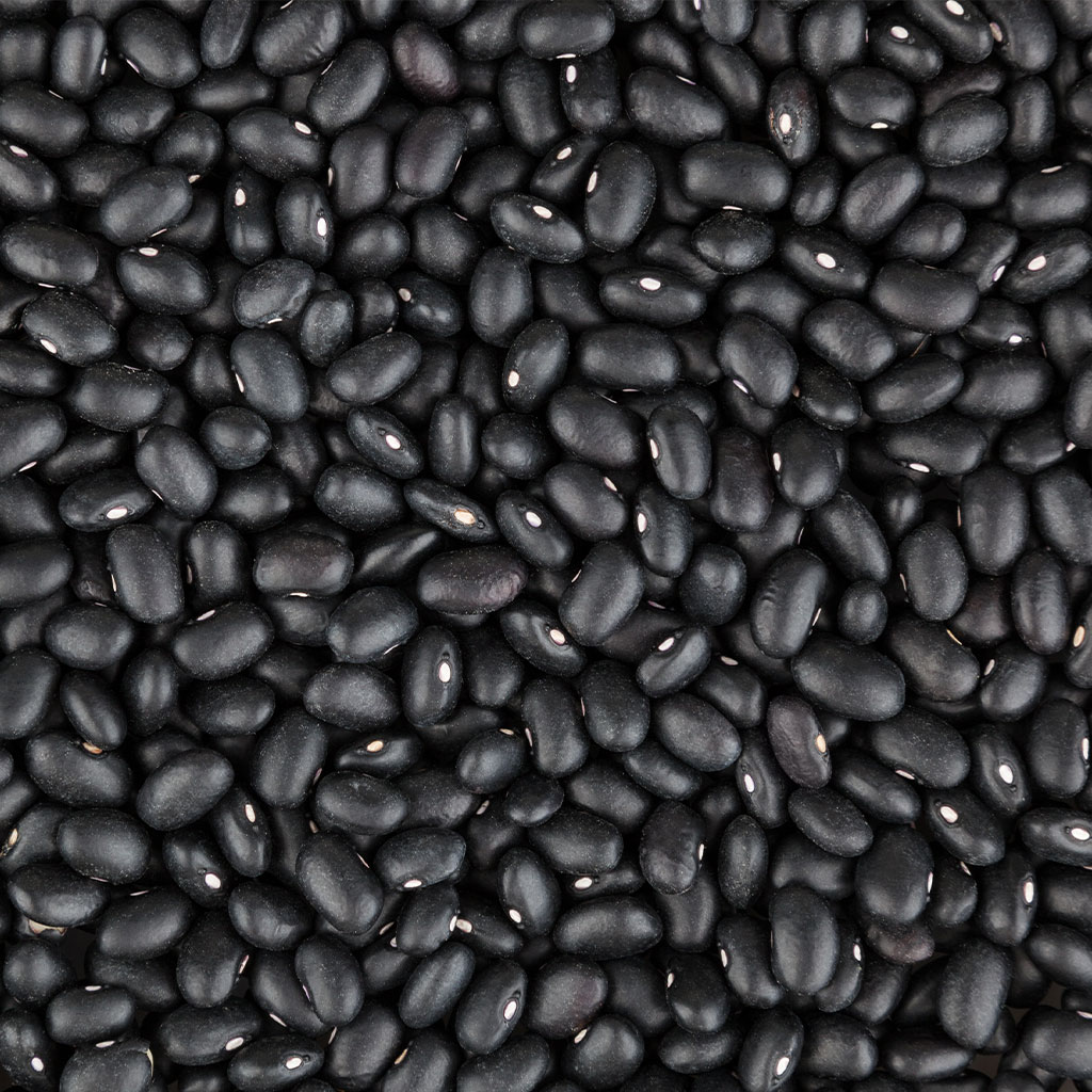 blackbeans.jpg