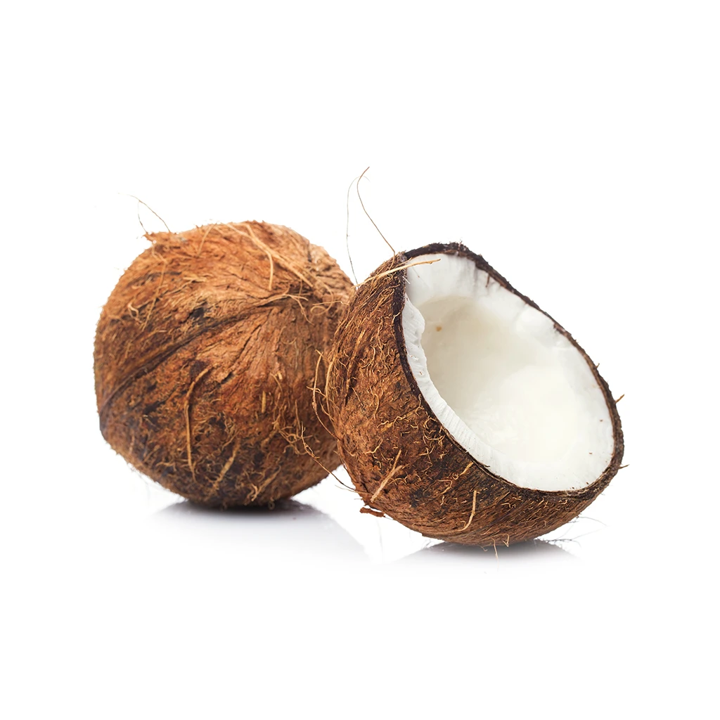 coconut_2048x.webp